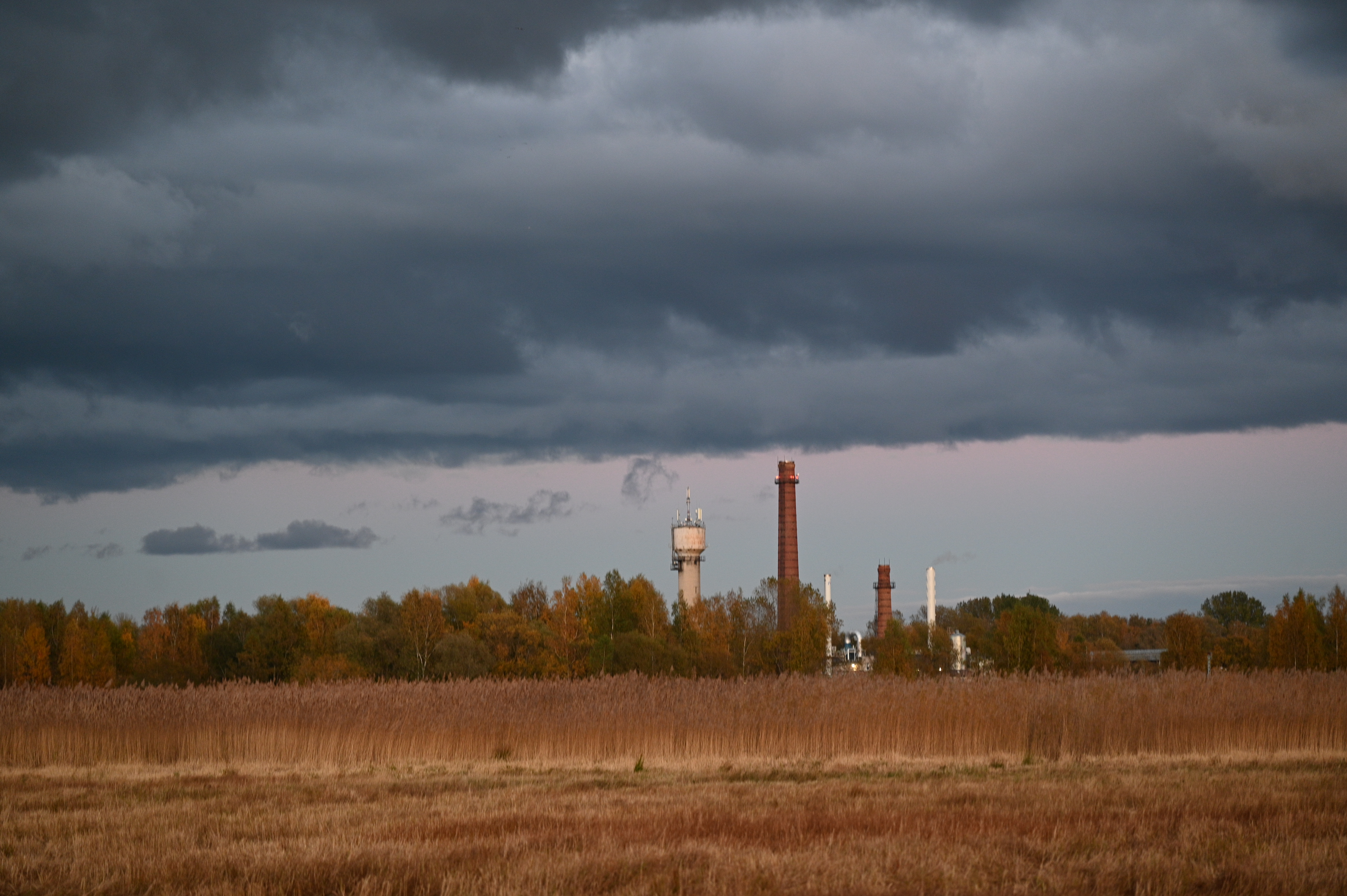 2025/10/18 - walk/DSC_0559.JPG